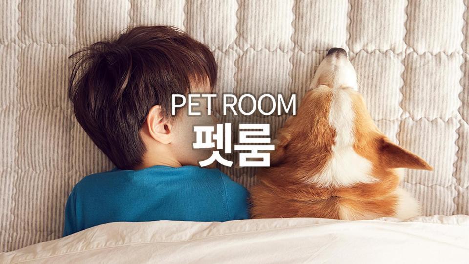Pyeongchang The White Hotel 外观 照片
